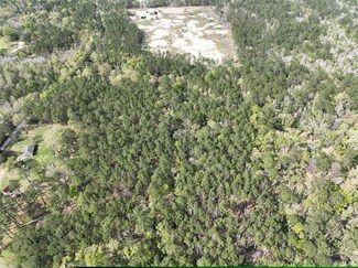 10 Acres Vacant Land Raiford Rd, Ponchatoula, LA 70454