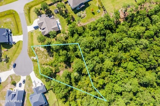 603 Pennywort Ct, Sneads Ferry, NC 28460