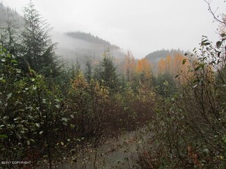 L8 White Beaver Way, Haines, AK 99827