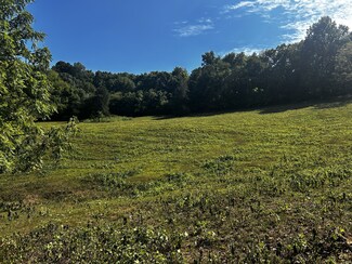 2365 Beech Hill Rd, Pulaski, TN 38478