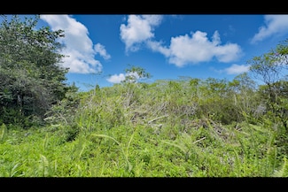 15-1995 31st Ave, Hawaiian Paradise Park, HI 96749