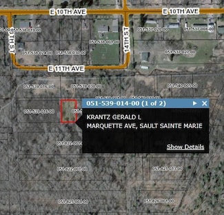 0 Marquette Ave, Sault Ste. Marie, MI 49783