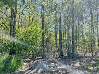 108 Holly Bush Rd, Brandon, MS 39047