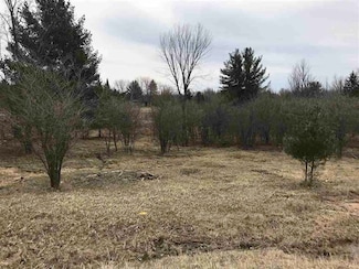 180-181 Lexington Ave Unit 180 and 181 Lexingto, Butman Township, MI 48624