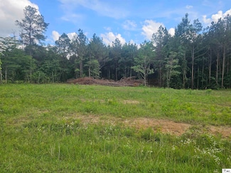 00 Jackson Rd, Collinston, LA 71229