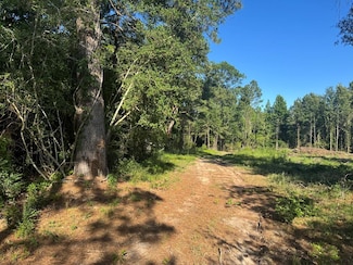 R37357 Hwy 69 South Tract 3, Zavalla, TX 75980