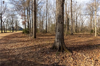 0 River Oaks Landing Cir Unit 7527405, Orrville, AL 36767