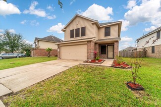 10842 Brittan Leaf Ln, Houston, TX 77034