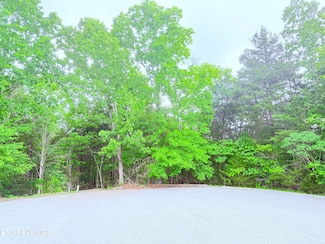 0 Divot Place Unit 1300901, New Tazewell, TN 37825