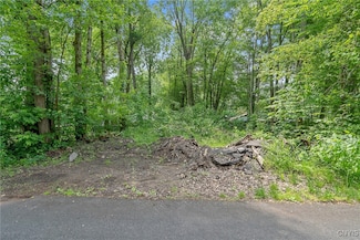 0 21st Ave Unit S1613250, Vienna, NY 13157