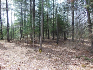 TBD 1 Michigan 28, Trout Creek, MI 49967
