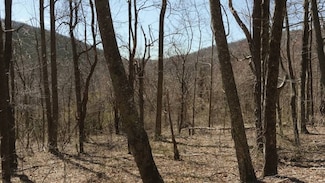 TBD Grandview Dr Unit Offering 2, Meadows of Dan, VA 24120