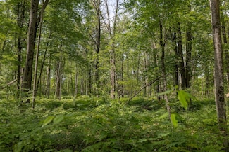 000 V/L 13 Mile Rd Unit Par D, Bitely, MI 49309