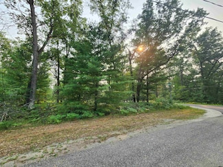 Lot 98 Wilderness Rd, Moffatt Township, MI 48610