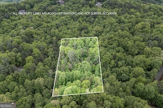Lot 17 Lower Gap Rd Unit 17, Sautee Nacoochee, GA 30571