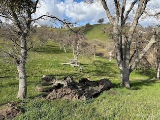 0 Jacks Hill Rd Unit 9992376, Tehachapi, CA 93561