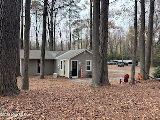 390 Phillips Hill Rd, Conway, NC 27820