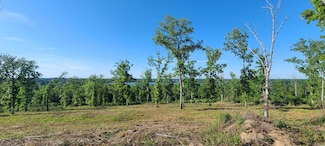 230 Waterview Dr, Conway, AR 72032