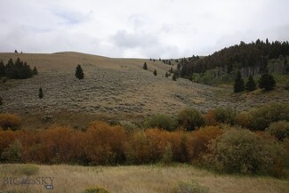 TBD W Fork Little Sheep Creek Rd, Lima, MT 59739