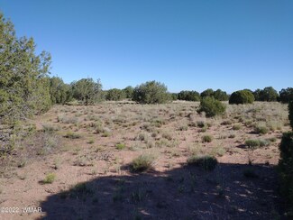 4529 Mountain View Rd, Snowflake, AZ 85937
