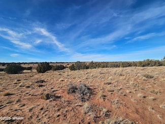 0 Lot 236 N Cr 9234 Unit 254096, Concho, AZ 85924