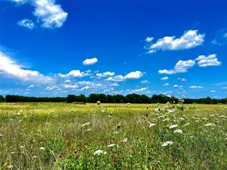 Lot 7 Cr-590, Nevada, TX 75173
