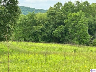 000 Reddie Tucker Rd S, Columbia, KY 42728