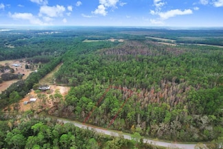 0 Poyner Rd Unit MFRTB8330707, Polk City, FL 33868
