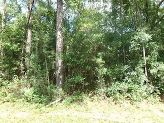 0 Dupont Harts Chapel Rd Unit 183536, Poplarville, MS 39470