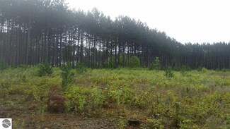 0 N Hodenpyle Dam Rd Unit 1804369, Mesick, MI 49668