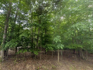 0 Red Fox Ln, Lakes, VA 24121