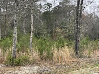 Lot 1 Allsbrook Rd, Loris, SC 29569