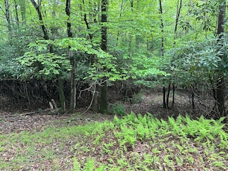 W14 Greenwood Dr, Polk Township, PA 18058