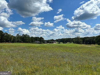 Lot 16 Camden Way, Hawkinsville, GA 31036