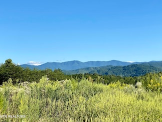 597 & 617 Curtis Rd, Tellico Plains, TN 37385