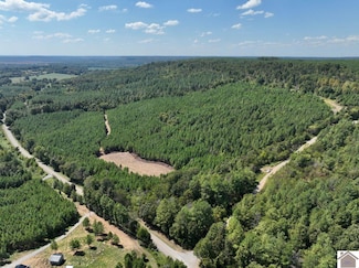 000 State Route 1433 Unit (Livingston Co. KY 1, Salem, KY 42078