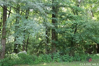 0 Wire Bridge Rd, Arnoldsville, GA 30619