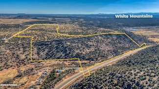 TBD Shumway Rd, Shumway, AZ 85901