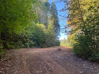 6 Acres Peaceful Place, Pollock Pines, CA 95726