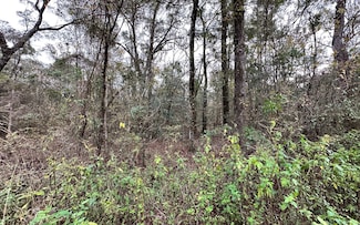 TBD 14th Street Lot 10, Live Oak, FL 32060