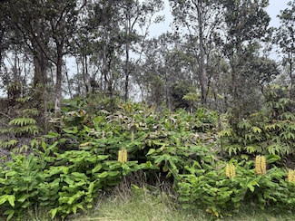 0 Ala Ohia St Unit 722681, Volcano, HI 96785