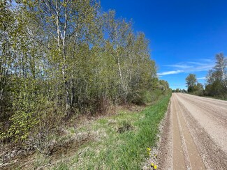 0 Little Canada Rd Unit 11 acres 201829384, Cheboygan, MI 49721