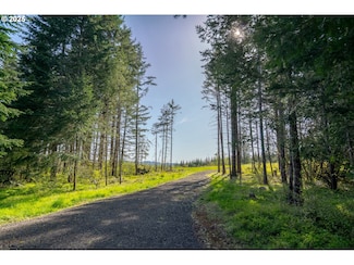 2333 Crooked Finger Rd NE, Scotts Mills, OR 97375