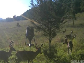 438 Nathan Hwy, Nashville, AR 71852