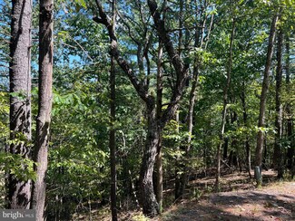 0 Breckinridge Rd, Basye, VA 22810