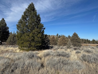 Unit 5 Lot 235 Sifford Ct Unit 5, Weed, CA 96094