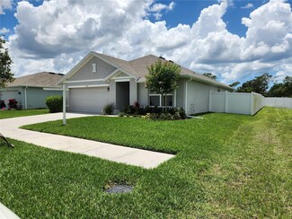 1905 Blue Stream St, Ruskin, FL 33570