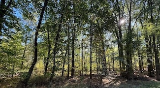 VL Doster Road Lot#wp001, Plainwell, MI 49080