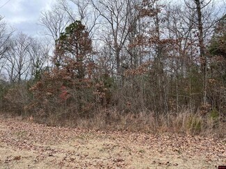 Lots 2 & 3 Sutton Dr, Locust Grove, AR 72550