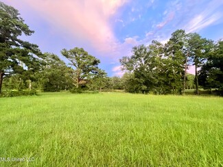 0 Lilly Rd Unit 4022544, Crystal Springs, MS 39059